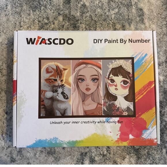 NWT Wiascdo DIY Paint By Number Kit Princess - Picture 1 of 2